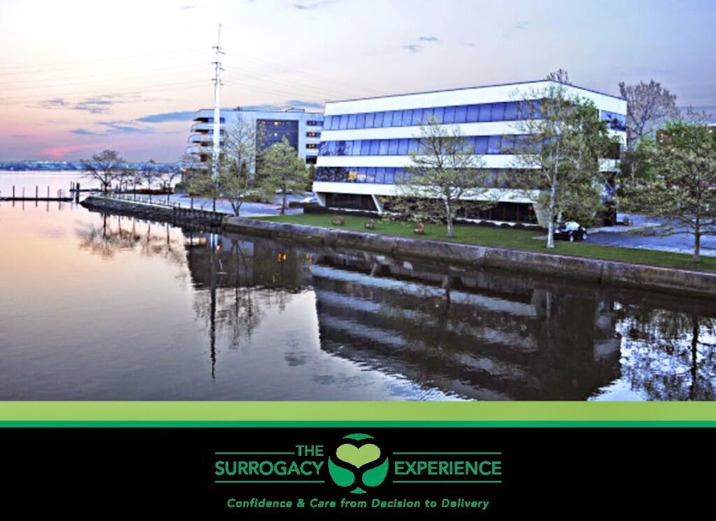 The Surrogacy Experience gallery photo