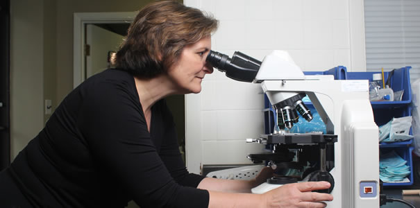 East Tennessee IVF and Andrology Center: Harris Gayla MD gallery photo