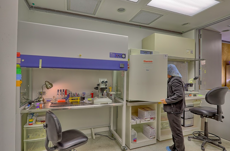 Houston Fertility Center gallery photo