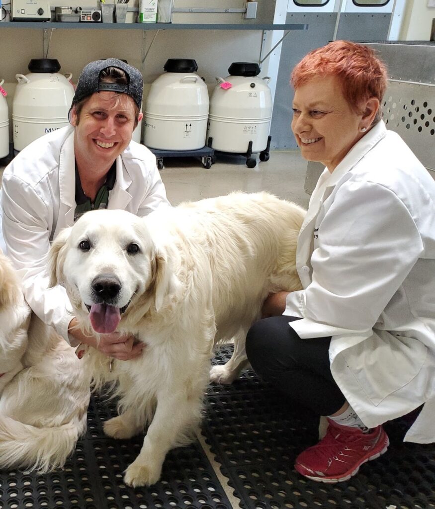 Canine Cryobank,Inc. gallery photo