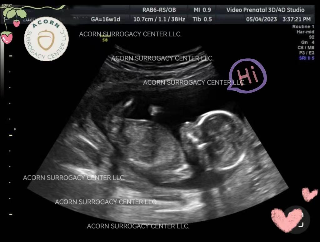 Acorn Surrogacy Center gallery photo