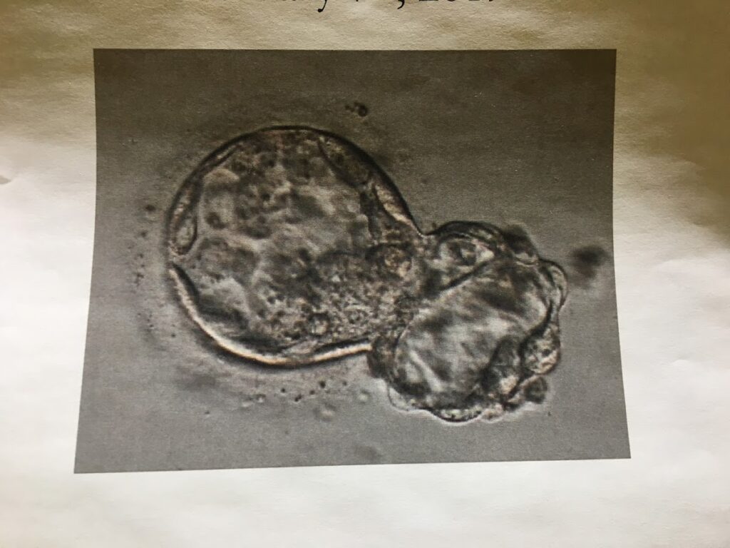 Canadian Surrogacy Community gallery photo