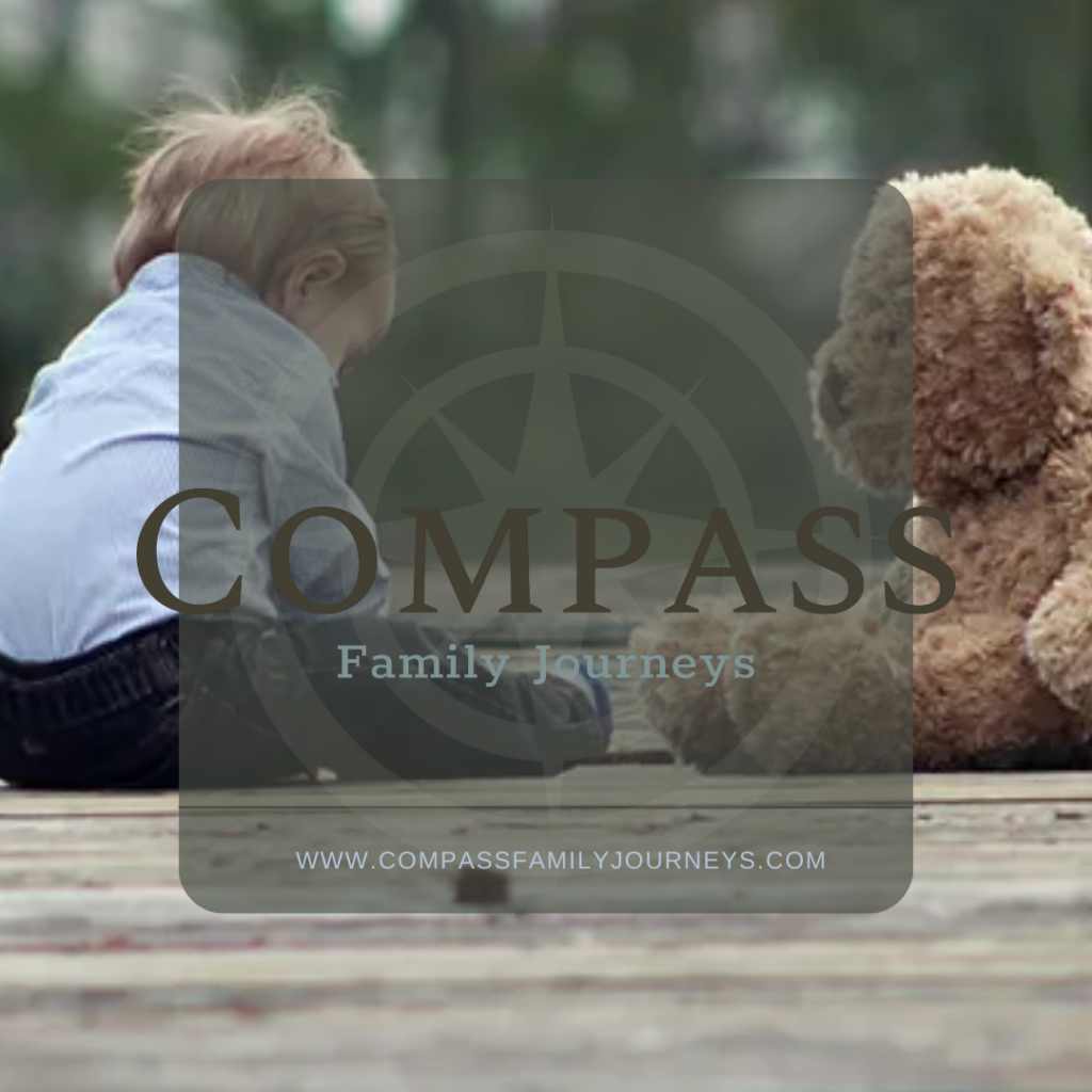 Compass Family Journeys: Surrogacy gallery photo