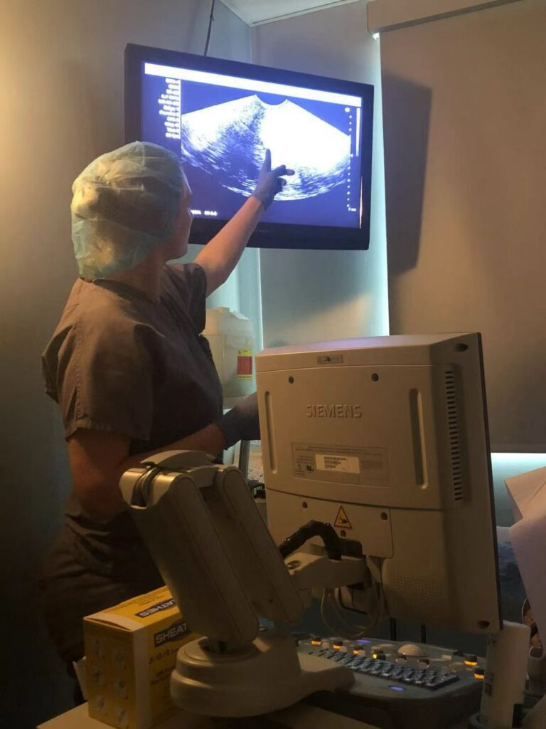 California Surrogacy & Egg Donation Center gallery photo