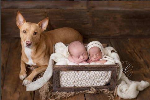 Northwest Surrogacy Center LLC gallery photo