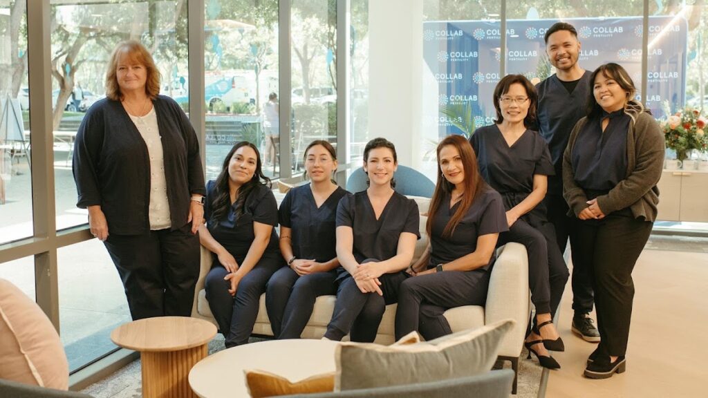 Collab Fertility gallery photo