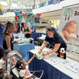 Babytree Surrogacy Knoxville gallery photo