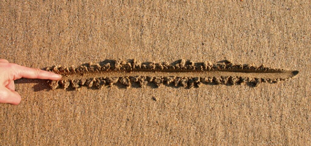 Fertility Matters Canada gallery photo