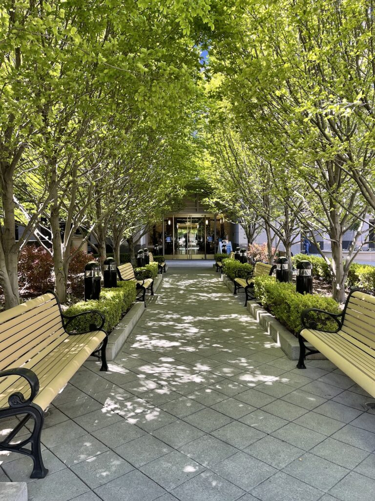 RMA Northern California | Palo Alto gallery photo