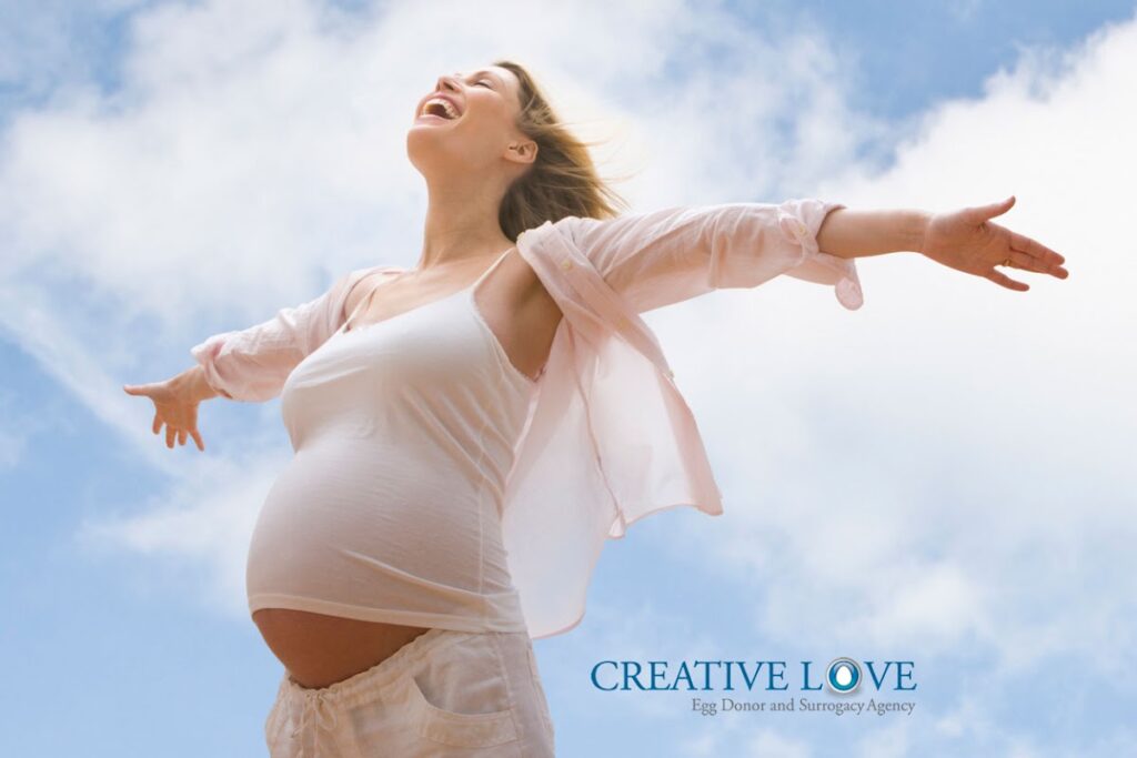 Creative Love Egg Donor & Surrogacy Agency gallery photo