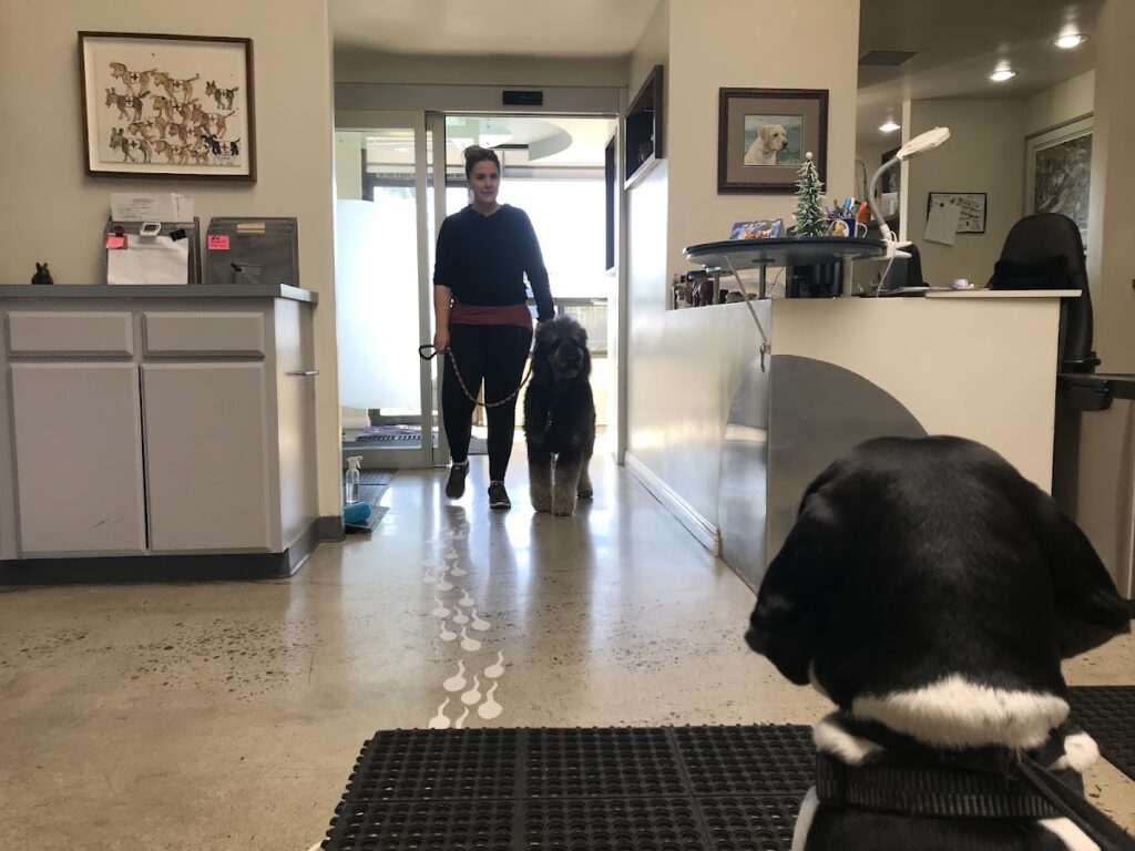 Canine Cryobank,Inc. gallery photo