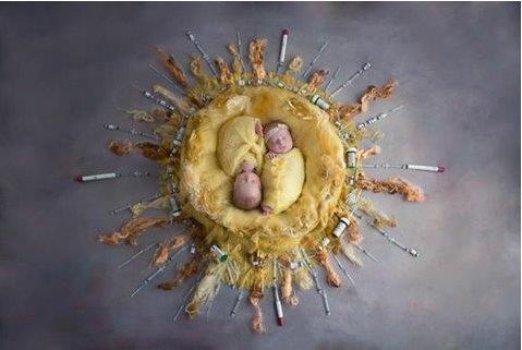 CCRM Fertility of Gilbert gallery photo