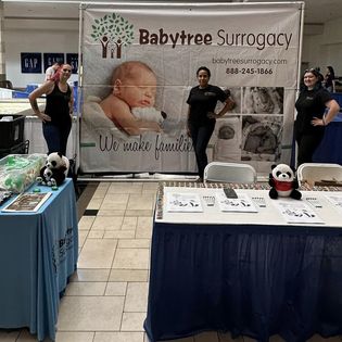 Babytree Surrogacy gallery photo