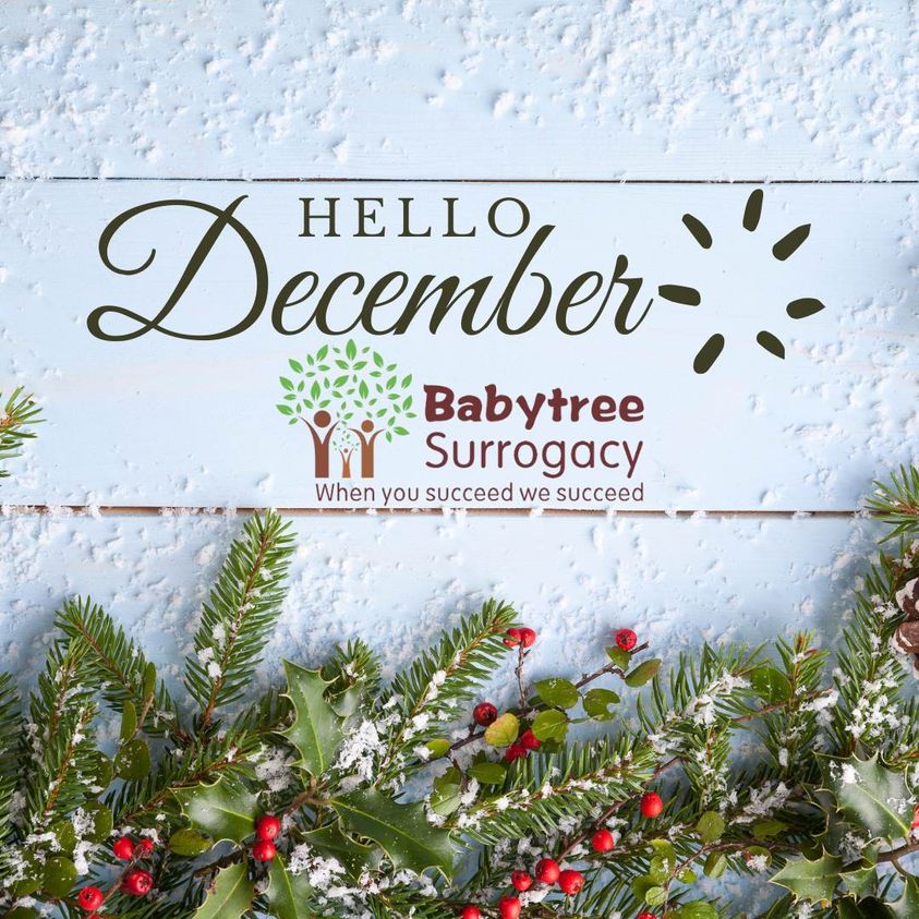 Babytree Surrogacy gallery photo