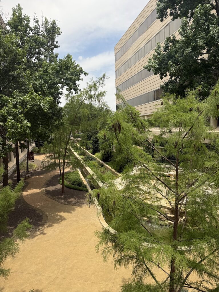 Dallas Fort Worth Fertility Associates gallery photo