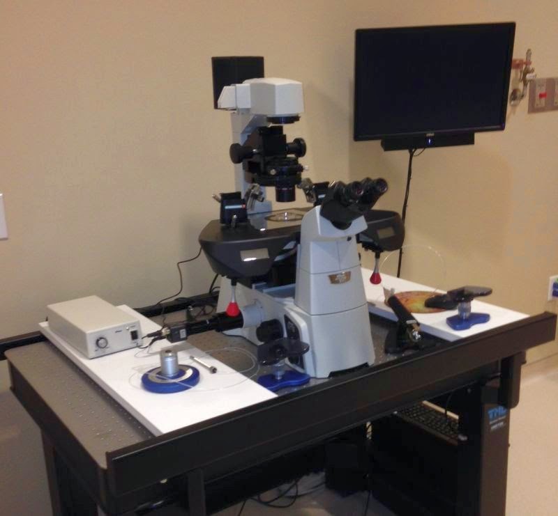 IVFMD Fertility Treatment Center gallery photo