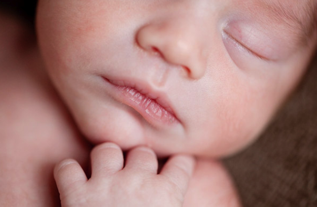 The Stork’s Nest Surrogacy Agency gallery photo