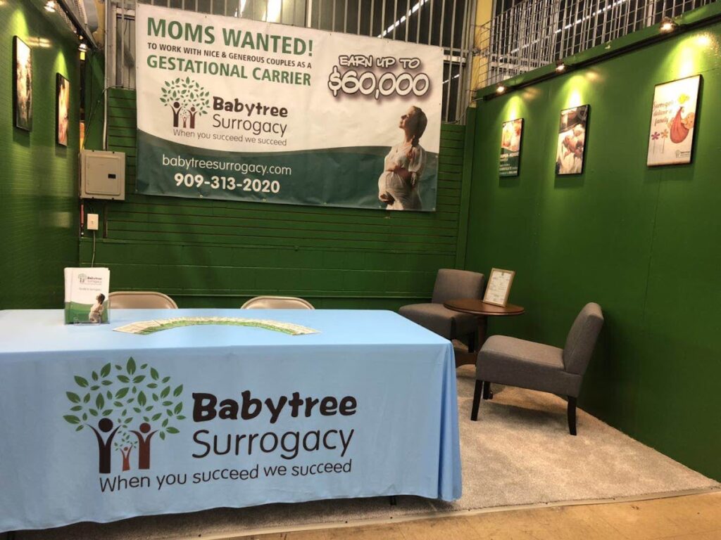 Babytree Surrogacy gallery photo